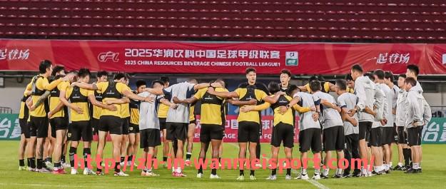 完美体育app-世俱杯比赛临时暂停制度适用条件及实际案例剖析