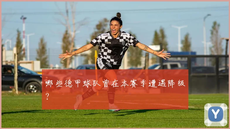 哪些德甲球队曾在本赛季遭遇降级？